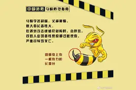 马蜂出没该怎样防范图片