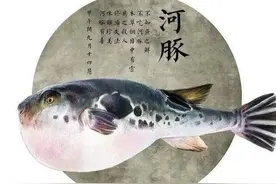 《山家清供》：舌尖上的宋代，感受饮食烹饪哲学图片