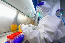 河北保定市莲池区新增多个高风险区图片