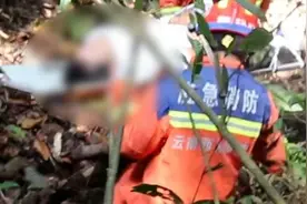 村民在原始丛林采蜂蜜从十多米高树上坠落视频封面