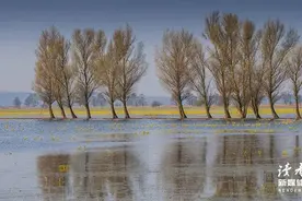 《生死疲劳》最意味深长的10句话：少欲无为，身心自在图片