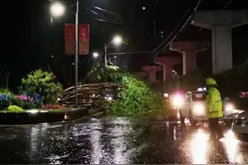 13级狂风吹倒行道树、冰雹像鸽子蛋大小……重庆四川河南等地遭遇强对流天气图片