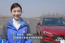 车辆的麋鹿测试和麋鹿有关系吗？麋鹿测试真的会撞麋鹿吗？专家解答→图片