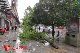 四川安岳遭遇13级狂风和暴雨冰雹袭击 抢险救灾工作有序进行图片