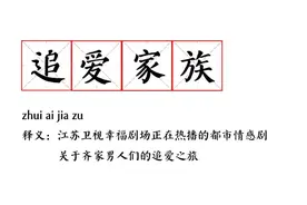 “词语新解”还得看《追爱家族》图片