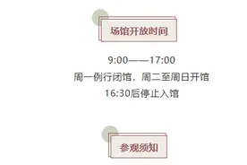 4月13日泰安市图书馆、市文化馆、市美术馆恢复开放图片
