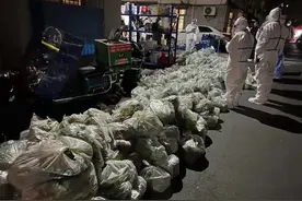 强对流天气致重庆6898人受灾，小伙被大风吹起离地近三米！| 新闻早餐 2022.4.13 星期三图片