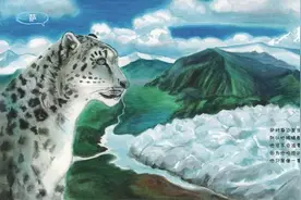 手绘三江源野生动物：是谁在雪山之巅唱着孤独的歌？图片
