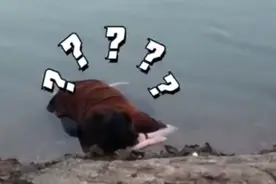 醉酒女孩姿势怪异趴河里睡一夜，救援全程没醒，网友：危险图片