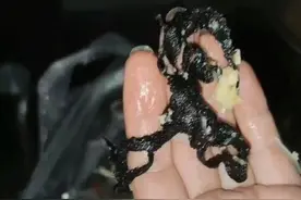 啥情况？榆林市民放心早餐菜加饼中吃出了“黑丝异物”图片