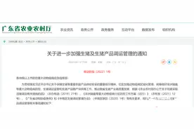 广东5月1日起暂停省外屠宰用生猪调入，种猪仔猪点对点调运图片