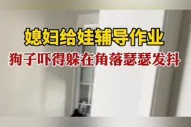 媳妇给娃辅导作业，狗子吓得躲在角落瑟瑟发抖图片