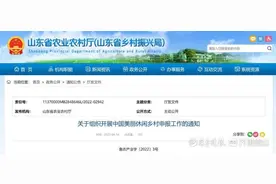 山东10个名额！2022年中国美丽休闲乡村申报开始图片