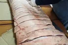 居民团购的170多斤整猪没人分？七旬解剖学教授上场了图片