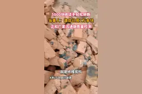 男子建房购新砖竟能徒手掰碎，要求厂家做质量检测图片