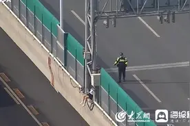 暖心闻丨女子坐高架桥护栏上疑要轻生 23岁辅警“谈心式”劝解争得救援时间图片