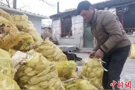 山西和顺：重回大山的“90后”养牛创业人图片