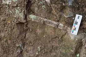 30秒｜多年后四川自贡再次发现14处恐龙化石 媲美大山铺恐龙化石群图片