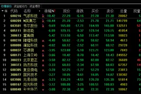 半导体板块再次下挫，韦尔股份领跌只因业绩不及预期？图片