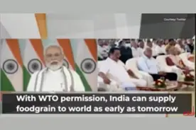 全球面临粮食危机，印度：我们可以大量出口 专家：国内还有数百万儿童营养不良图片