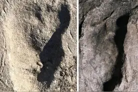 我们从哪里来图片