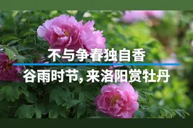 二十四节气图片