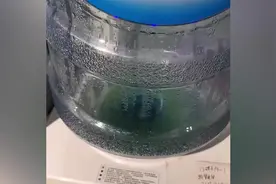 云南石林天外天桶装水中长青苔？回应：正常现象，可以换一桶图片