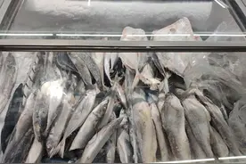 囤菜囤粮之后，连冰柜都有人“囤”了图片