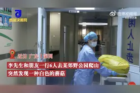 好友6人爬山采食野蘑菇全中毒，医生：其中一人全身换血4次图片