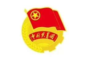 入团流程及入团仪式基本流程图片