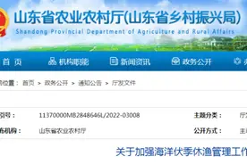半岛叨叨丨@青岛人，还有十天进入休渔期！吃货们抓紧了图片