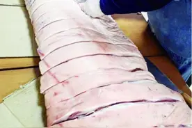 为邻居挥刀分肉“走红”上海这位解剖学教授是沭阳人图片