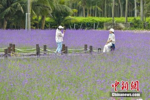人这一辈子，一定要去一趟博鳌
