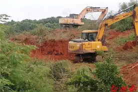 新开镇依法拆除“活人墓”图片