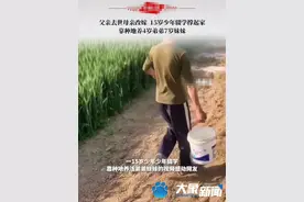 父亲去世，母亲改嫁，信阳少年辍学种地养活弟弟妹妹？当地政府回应图片
