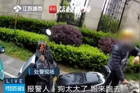 狗开笼离家进派出所主人被罚50元，民警：吃了十几个鸭肫图片