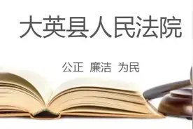 抵押贷款借朋友 合同无效悔恨晚图片