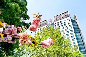 直击丨杭州拱墅区内各家医院诊疗情况如何？疫情之下如何就诊？图片