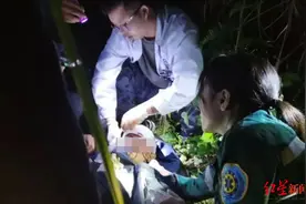 老人进山采野蜂蜜跌落山崖失联 警方连夜搜救将他救出图片