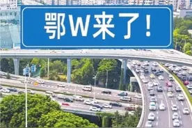 明天可给爱车选鄂W号牌啦 仅限小型汽车号牌，新能源车和货车不能用图片