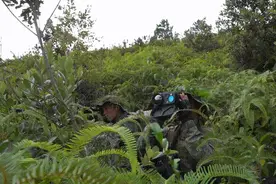 真人cs，这场演练才是真刺激战场图片