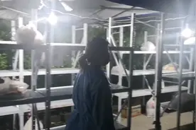 邻里互助同心抗疫 这栋楼里的“居家故事”太暖心图片