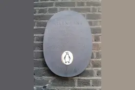 世界企鹅日：这些企鹅风靡全球，你知道它们真正的名字吗？图片