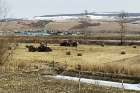 万象“耕”新 延吉市朝阳川镇抢抓农时保粮仓 把好粮食安全生产关图片