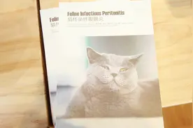 上海女高材生制售猫药治绝症被刑拘，律师解读所涉法律问题