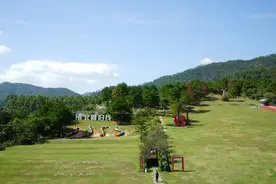 来花都，去哪露营？10大绝美营地，走起~图片