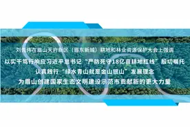 眉山天府新区（眉东新城）耕地和林业资源保护大会召开图片