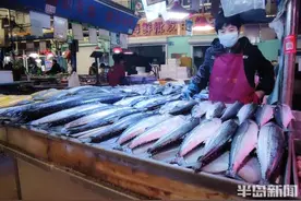 30元一斤！临近五一假，鲅鱼价略涨图片