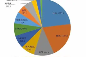 RCEP专栏丨RCEP技术性贸易措施指南 （出口纺织服装●上）图片