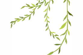 江西人游吉安·吉安人游吉安 | 五一期间吉安市所有国营景区对本地人免大门票！图片